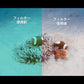GoPro8 Gopro HERO 8 防水ケース ハウジング オプションでフィルター同時購入可能 水中撮影 45m水深ウォータープルーフ ダイビング ゴープロ8 アクセサリー