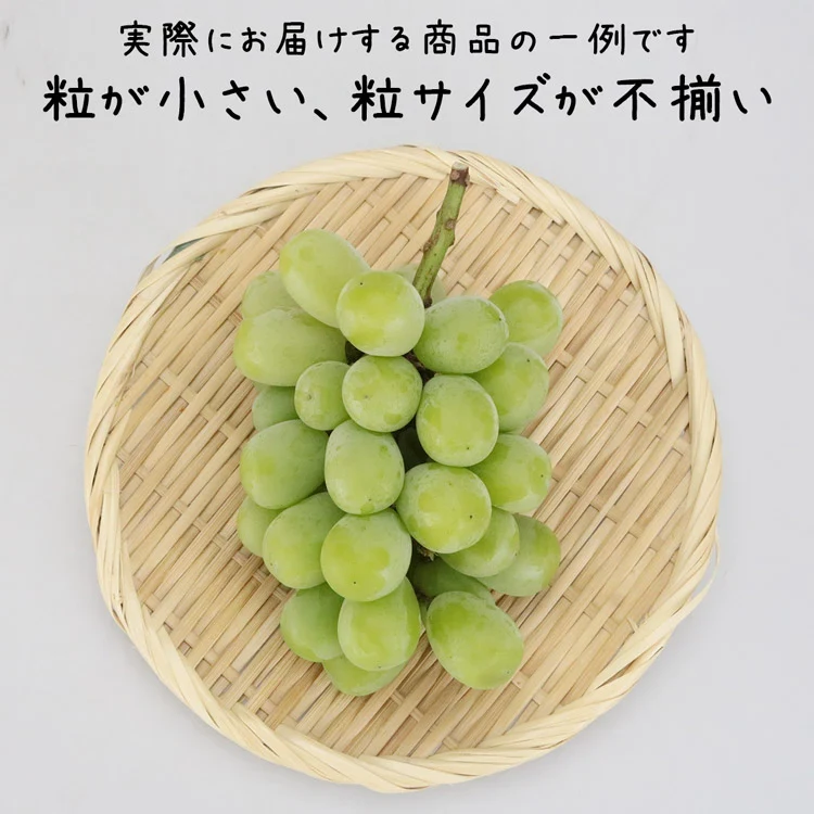 訳あり シャインマスカット 約1kg(2～3房) ご家庭用 お徳用 自宅用 お買い得 ぶどう 産地厳選 ブドウ 種無し 冷蔵便
