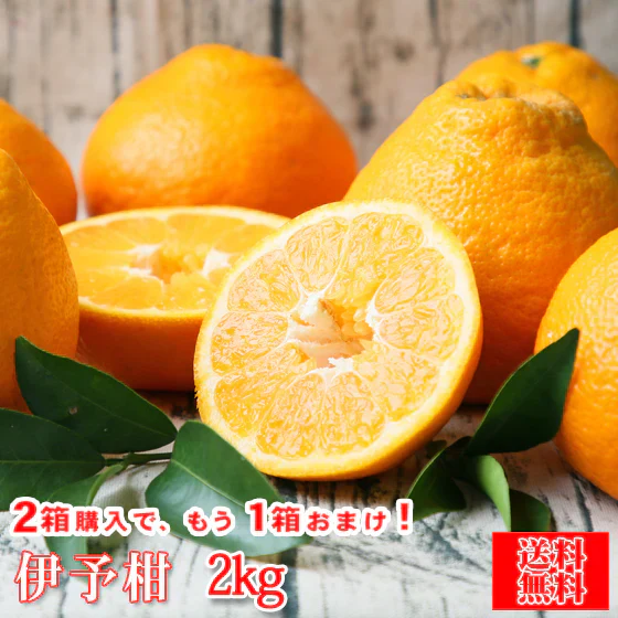 みかん　伊予柑　２ｋｇ　ｆｉｙｏ０２　家庭用　２箱ご購入でもう１箱おまけ　フレッシュつちやま　吉田みかん　愛媛　吉田　宇和島　青果　果物　ミカン　蜜柑　柑橘　フルーツ　送料無料　訳あり
