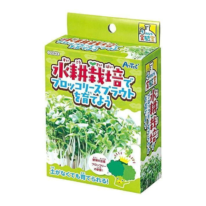 てのひら実験室 水耕栽培でブロッコリースプラウトを育てよう （559445