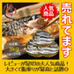 さば 無添加 無塩 トロさば サバ 鯖 約3kg(18〜24尾）トロ鯖 海鮮 天然 美味しい 魚 魚介 海産物 おかず おつまみ 乾き物 酒の肴 贈り物 お取り寄せグルメ 食べ物 おいしい 絶品
