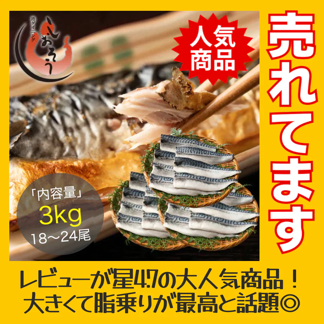 さば 無添加 無塩 トロさば サバ 鯖 約3kg(18〜24尾）トロ鯖 海鮮 天然 美味しい 魚 魚介 海産物 おかず おつまみ 乾き物 酒の肴 贈り物 お取り寄せグルメ 食べ物 おいしい 絶品