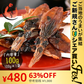 【ご新規さんとシェア買い】ホタルイカ ほたるいか 素干し 100g 蛍イカ 干物 おつまみ いか 酒のつまみ イカ 美味しい 海鮮 お取り寄せグルメ 酒の肴 つまみ 乾き物 食べ物 ［送料無料］［ゆうパケット］お一人様2個まで 母の日 プレゼント ギフト  母の日思いの 健康 実用的 父の日 子供 孫【ご当地ご新規さんFES】