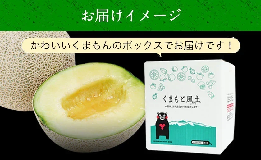 九州産 マスクメロン 2Lサイズ 秀品 1玉 約1.2kg 送料無料 熨斗対応 ギフト プレゼント メロン 贈答 フルーツギフト 贈り物  《1-5営業日以内に出荷予定（土日祝除く）》