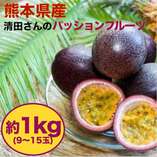 【熊本産】パッションフルーツ 約1kg（約9～15玉）清田さんのパッションフルーツ 60サイズ