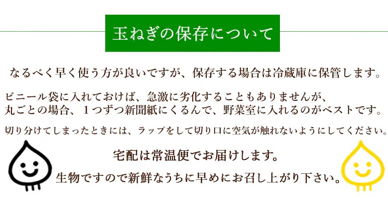玉ねぎ サラダ玉ねぎ 10kg 送料無料 新玉 S～L 熊本県産 玉葱 たまねぎ 野菜