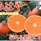 みはや みかん 送料無料 秀品 2kg 希少品種 美早 熊本県産 蜜柑 早生みかん ミカン