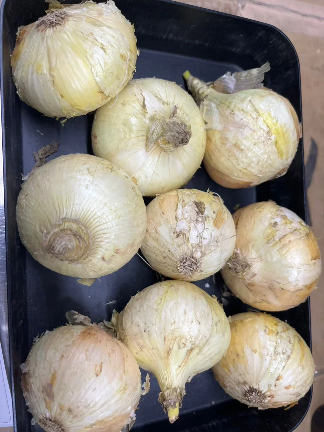 たまねぎ 約900g〜1kg 60サイズ※全国配送可能【カウシェファーム収穫対象商品】新玉ねぎ