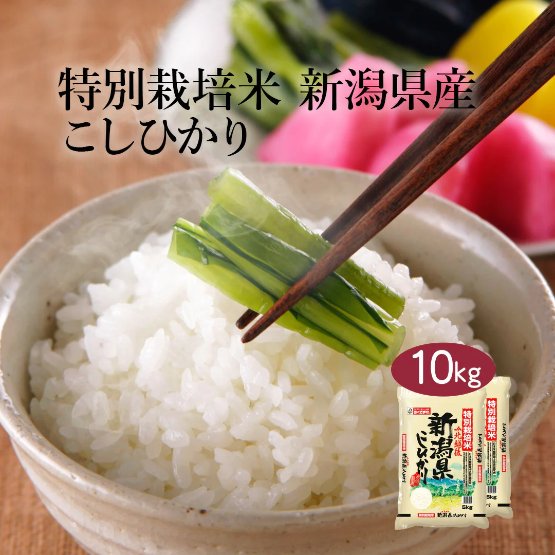 米 精米 新潟県 特別栽培米 こしひかり 10kg (5kg×2) 令和5年産 新米 JA北越後指定 お米 白米 おくさま印 国産 食品 ギフト 引っ越し 挨拶 出産 内祝い お中元 お歳暮 結婚 快気 還暦 香典返し お年賀 送料無料