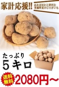 岩手県産 じゃがいも 5kg 無農薬栽培 男爵