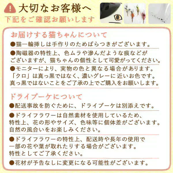 母の日 ギフト 猫一輪挿し（ハチワレ） ドライブーケ（レッド） 猫チョコどら焼き 3個 紅茶 【おいもや】  (5月4日～10日配送) MD