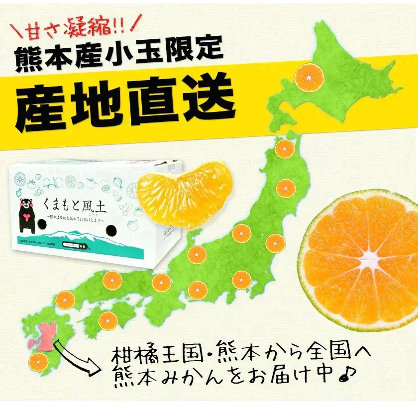 小玉 みかん 訳あり 送料無料 4kg 小粒 ミカン 柑橘 熊本 極早生 3s-sサイズ 家庭用 9月下旬-10月中旬頃より発送予定
