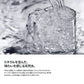 【1本あたり33円】VOX(ヴォックス) 強炭酸水 ストレート 無糖 500ml ×24本【ご新規さん限定商品】