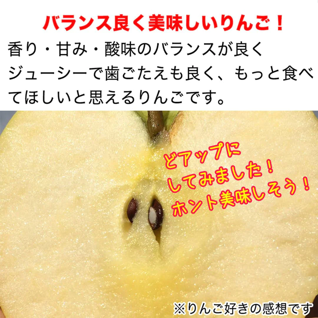 【2023年産予約開始！数量限定！】シナノゴールド 加工用 約2.5kg(7-16玉) パリっと歯ごたえジューシー 10月下旬頃発送開始予定 #YAG0K025