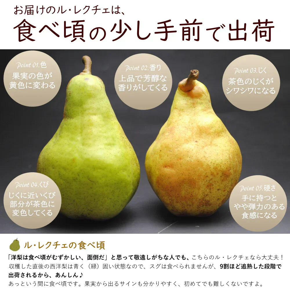 【12月上旬～下旬ご注文受付順次】洋梨ルレクチェ贈り物約3kg化粧箱（8-12玉前後）西洋梨 秀品 贈答 ギフト 洋梨 せいようなし