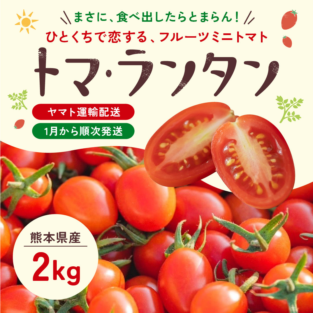 2kg 家族の笑顔が広がる完熟ミニトマト「トマランタン」東北配送不可】