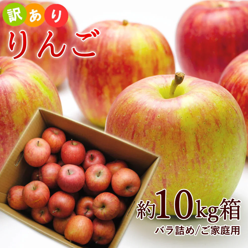 【12月上旬-下旬頃ご注文受付順次】訳ありりんご サンふじ ふじ 山形県産 10kg前後 バラ詰め サンフジ ふじ りんご 林檎  リンゴ 山形産 産直 送料無料