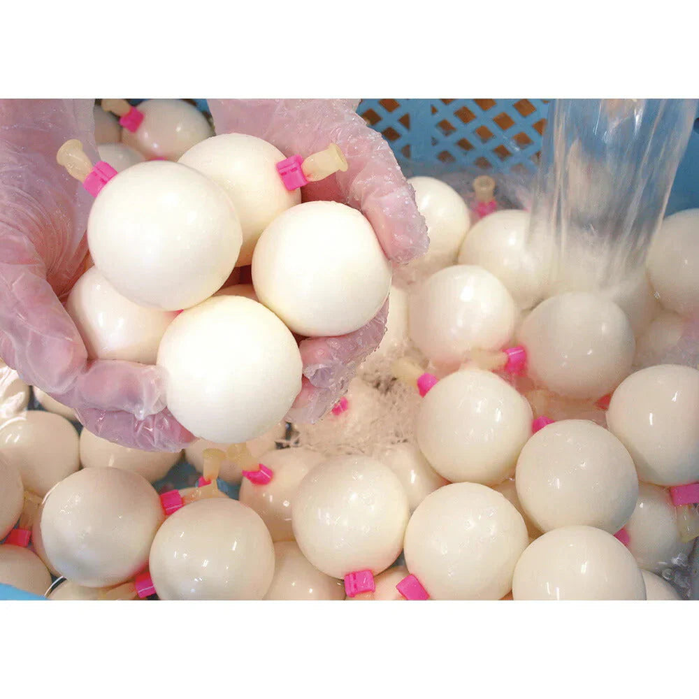 Boccaの4個入プリン 4本セット【送料込み】【二重包装不可】【お届け不可地域：沖縄・離島】