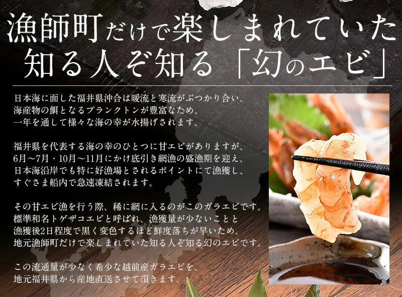 越前産 がらえび 1kg（500g×2箱）約70尾入り ガラエビ［送料無料］ えび 冷凍 エビ 冷凍えび 美味しい 冷凍エビ 甘い 冷凍海老 産地直送 国産 福井県 お刺身 お徳用 贈り物 ごちそう 贈答 母の日 プレゼント ギフト  母の日思いの 健康 実用的 父の日 子供 孫