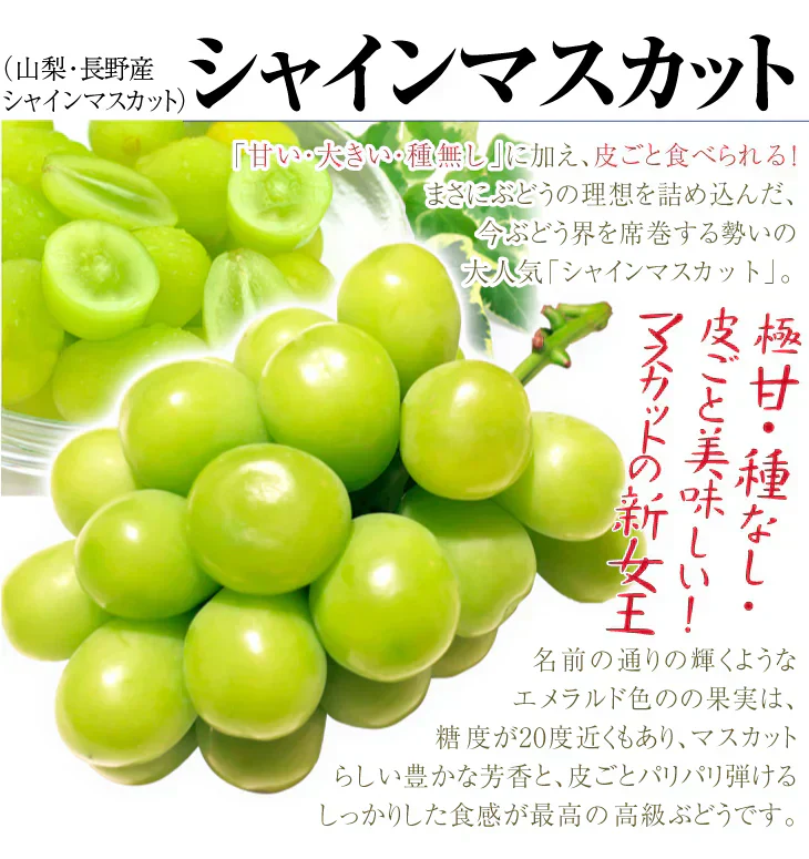 シャインマスカット&ピオーネセット 約1.5kg（大房 各1房）（発送予定:9月下旬より）