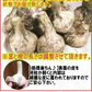 【即日発送】青森県産 幻の生にんにく 1kg【冷蔵便】 令和8年度産 Mサイズ以上L～2L混合
