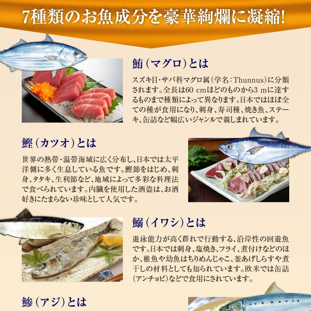 DHA&EPA＋DPA《約12ヶ月分》オメガ3 DHA&EPA＋DPA 不飽和脂肪酸 ドコサヘキサエン酸 エイコサペンタエン酸 ドコサペンタエン酸