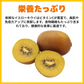 おトクで美味しい！　愛媛県産　イエローキウイ【ゴールドキウイと同一品種】2Kg