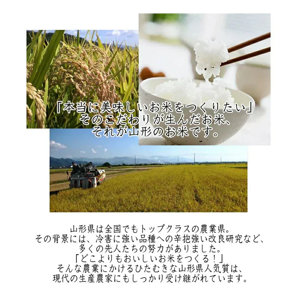 白米 20kg (5kg×4袋) 米屋仕立て 国内産 送料無料 米20キロ こめ コメ お米 お米20kg