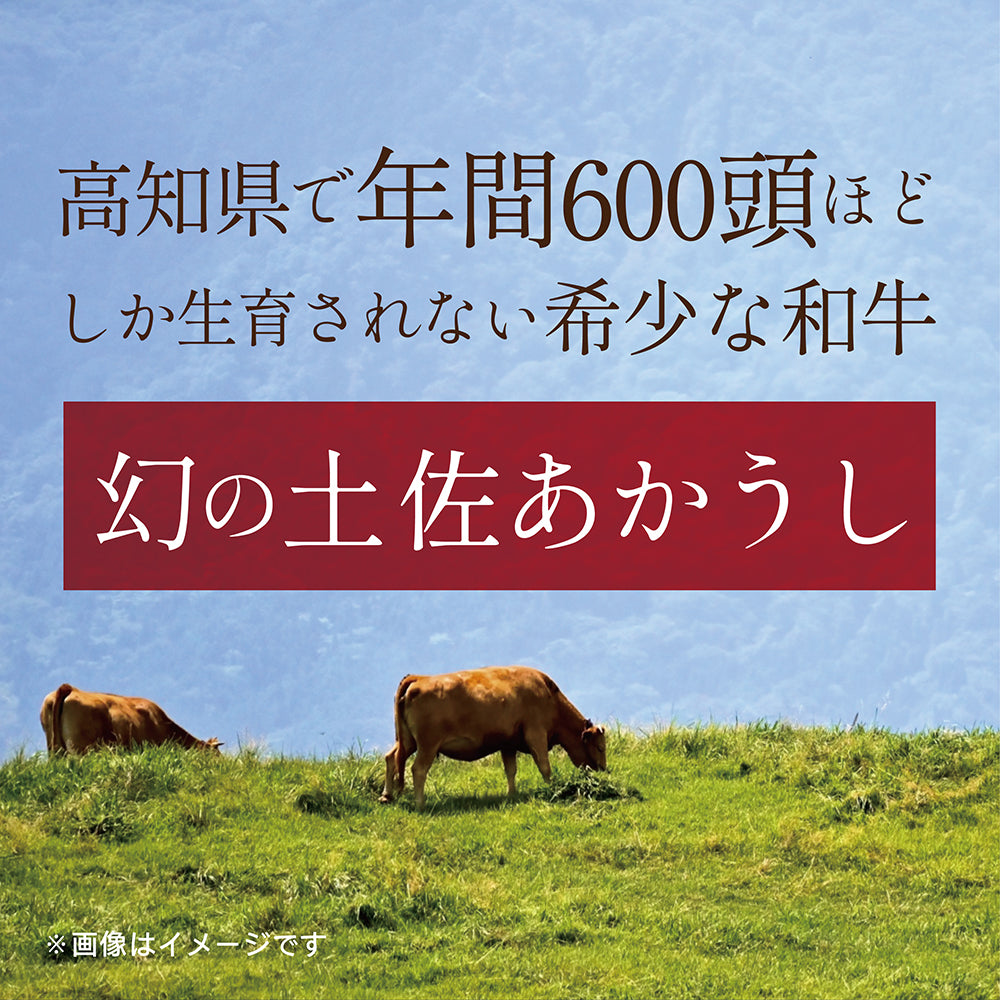 【送料無料】 土佐あかうしビーフカレー　160g×30袋 高知 レトルト 土佐あかうし ビーフカレー 特産