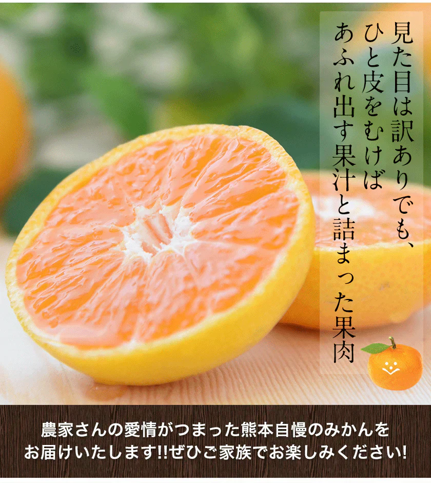 産地直送 熊本県産 みかん 訳あり 送料無料 熊本ミカン 大玉 小玉 不選別 規格外 果物 柑橘 九州 訳アリ 蜜柑 みかん 3-7営業日以内に発送予定（土日祝除く）