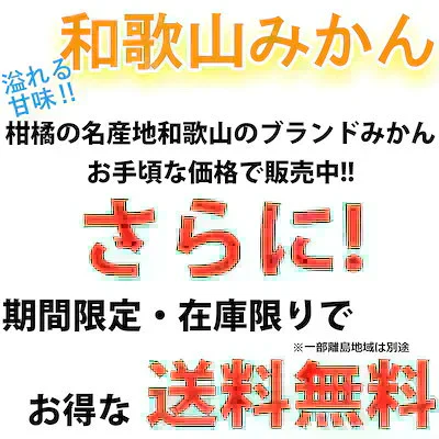 (10月下旬頃から順次発送の予約販売) みかん 激レア小粒 直径4.5cm前後 訳あり 和歌山有田みかん 2kg