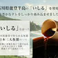 おつまみこんにゃく 〈7ヶ入×20袋〉 味付き