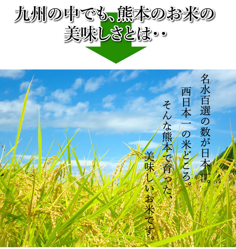 くまさんの輝き 米 送料無料 2kg 令和5年産 熊本県産 お米 白米 玄米 コシヒカリ ヒノヒカリ 森のくまさん