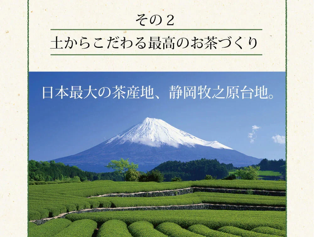 日本橋いなば園 静岡深蒸し茶 掛川茶 100g メール便 送料無料