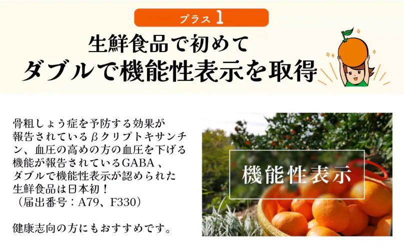 【日本三大みかん！三ケ日みかん！4㎏！】豊洲市場仕入れ　ブランドみかん