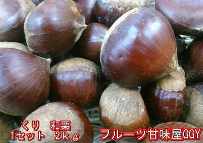 和栗 訳あり 1箱(2kg) 2L,Lサイズ 熊本産 クール便　60サイズ