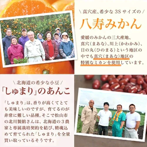 【5/17(金)賞味期限】愛媛県産みかん大福8個セット(冷凍)