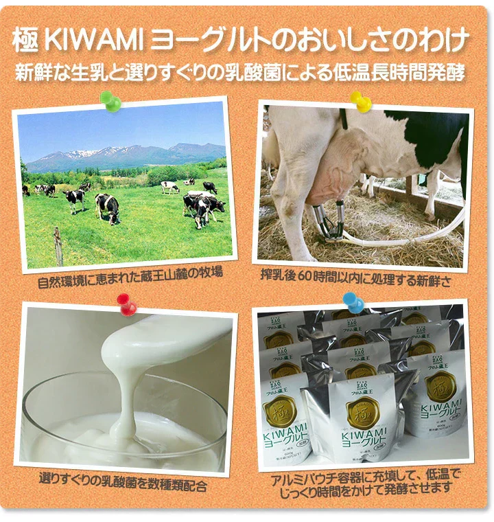 【在庫処分】【賞味期限：2024年9月5日】フロム蔵王　極(KIWAMI)無糖ヨーグルト600g×2個　加糖ヨーグルト600g×2個　特別4個セット