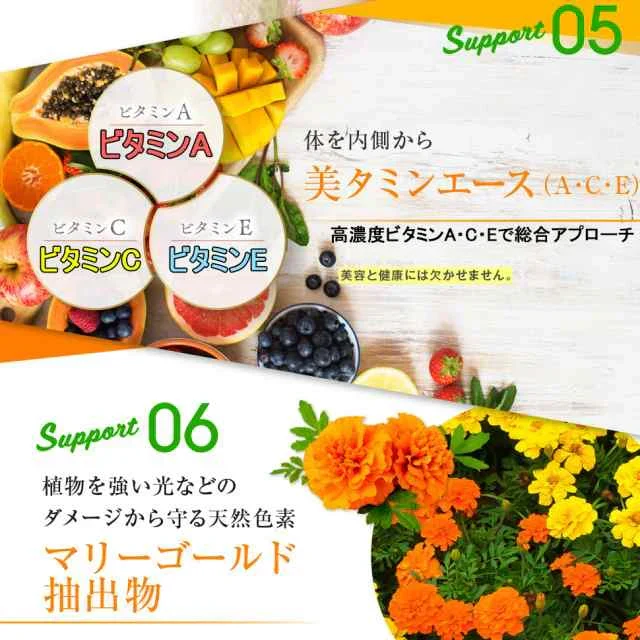 【お得！ひがサプリ・9袋＋3袋オマケ】新時代 太陽対策 飲む日焼止めサプリ お出かけ対策 サプリメント ひがサプリ バリア サプリ 飲む日焼け止め サンスティック 日焼止め UVケア UVカット 紫外線サプリ クリーム ニュートロックスサン UV 対策 ケア カット 紫外線カット 紫外線 日差しに負けない ビタミン 日焼どめ お肌 守る シスチン ビタミンC レッドオレンジ シトラス ローズマリー マリーゴールド 日本製