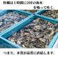 牡蠣 むき身 冷凍 剥き身 北海道 サロマ湖産 1Kg カキ サロマ湖産 産地直送 大粒 牡蠣 グラタン牡蠣 北海道 プリプリ 牡蠣 ギフト かき 牡蠣  紋別 冬グルメ 牡蠣  むき身 生食 むき身