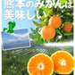 みかん　熊本産　おいしいみかん　1.5kg　サイズおまかせ　ご家庭用（発送予定：11月中旬より）