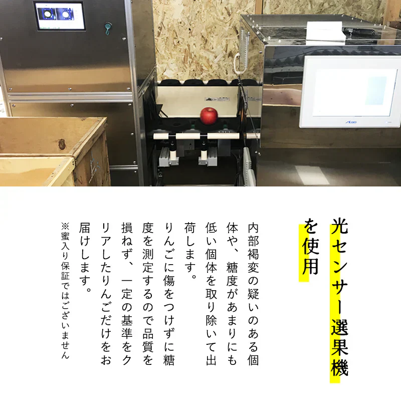 【ただいま発送中！】青森県産 訳あり サンふじ 3kg 数量限定! 家庭用 青森  りんご 林檎 ふじ 果物 フルーツ 送料無料 ks