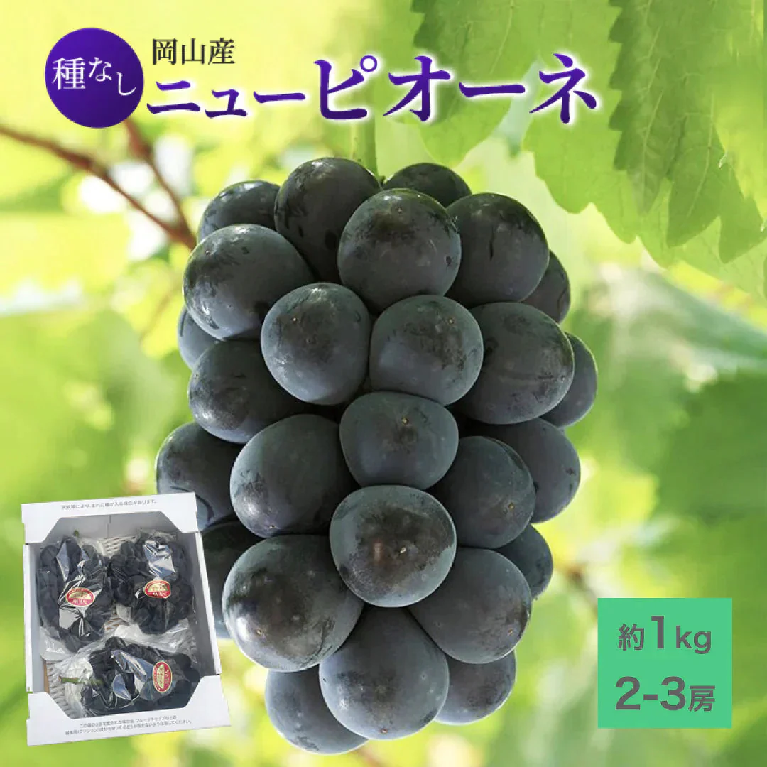 【9月上旬順次発送】送料無料 岡山産 ピオーネ 0.8-1キロ 2房入