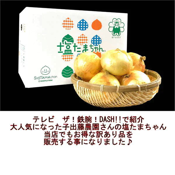 塩たまちゃん　訳あり　箱込10ｋｇ