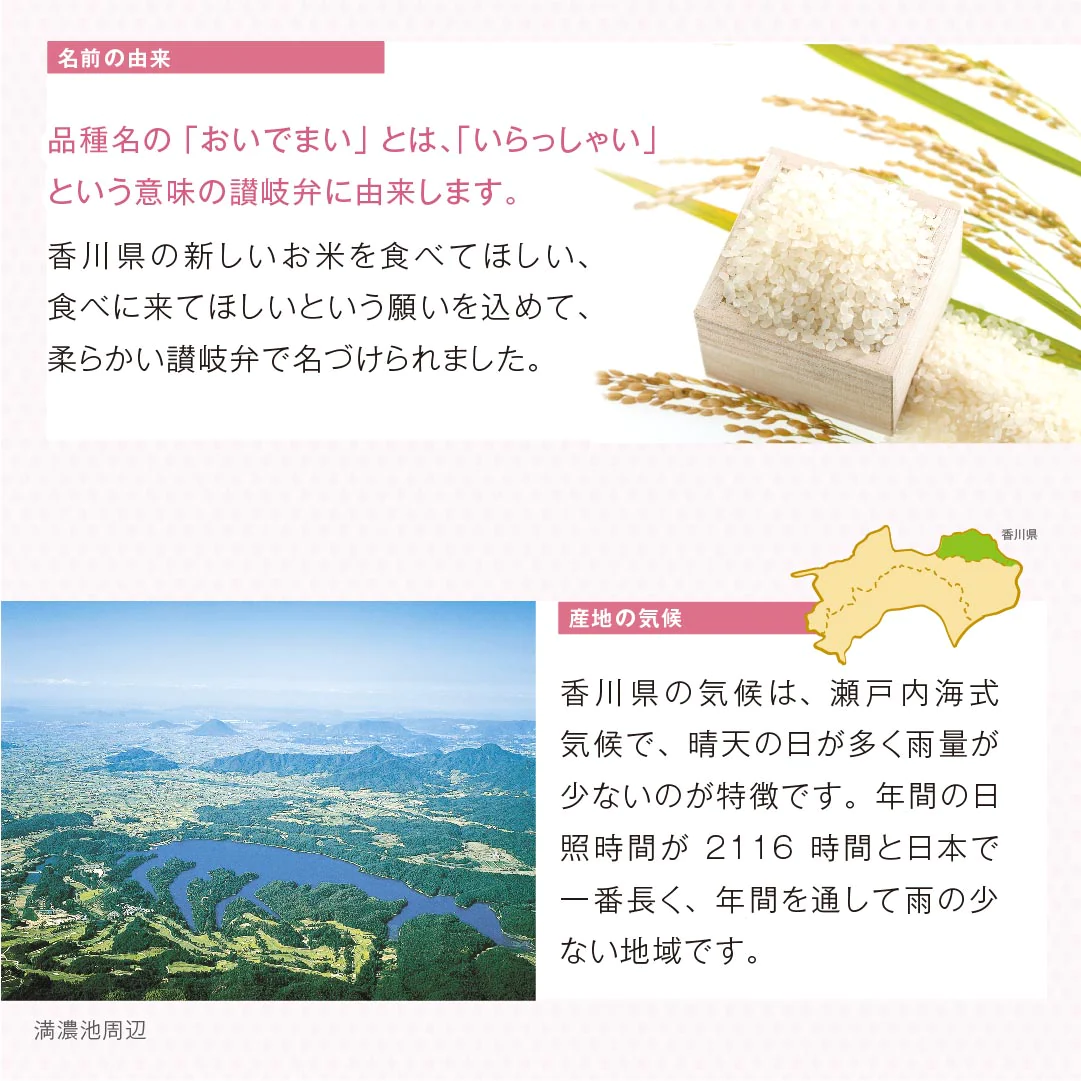 米 精米 香川県産 おいでまい 10kg (5kg×2) 令和5年産 新米 お米 白米 おくさま印 国産 食品 ギフト 引っ越し 挨拶 出産 内祝い 母の日 父の日 お中元 お歳暮 結婚 快気 還暦 香典返し お年賀 送料無料