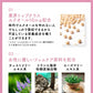 ＼1カプセル10mg配合／エクオール フェムケア《約1ヶ月分》 栄養機能食品 国内製造 大豆イソフラボン  サプリ フェムケア チェストツリー