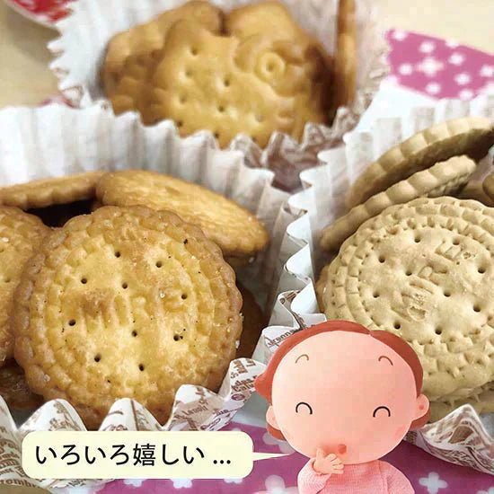 送料無料 ミレービスケット お試しセット(小袋9種)野村 のむら ミレー お試しスイーツ プレゼント お菓子 駄菓子 おやつ クッキー　 お歳暮　贈答品 小袋 小袋菓子 お中元 ギフト 子供 子ども 幼児 遠足 運動会 詰め合わせ 出来立て発送