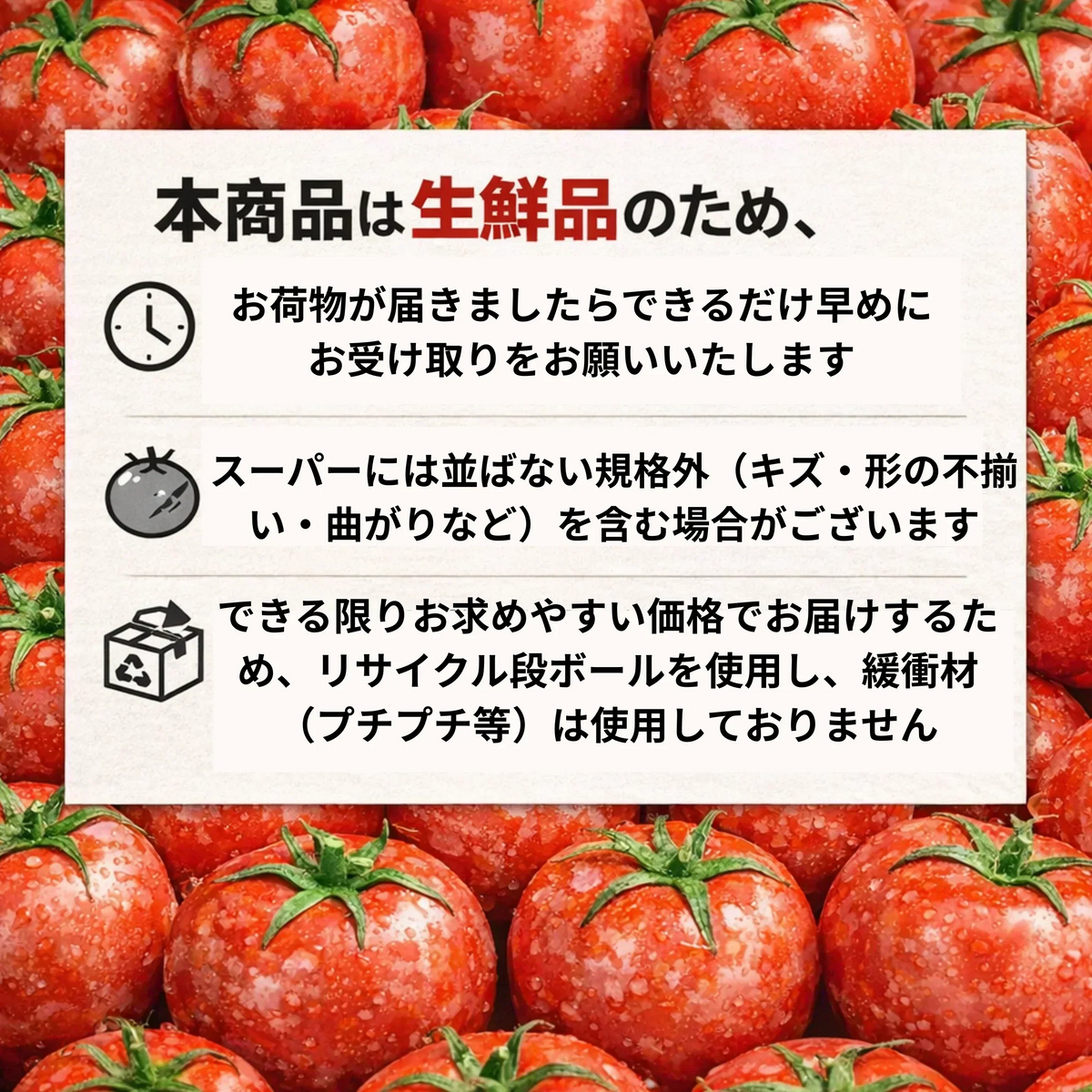 【予約】2027年1月までに順次発送予定 市場直送！熊本県産 アイコ ミニトマト 約400g(230-250g+保証分150g)  フルーツミニトマト フルーツ とまと 野菜 青果 訳あり 【カウシェファーム収穫対象商品】