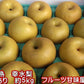 完熟 幸水 梨 訳あり 熊本産 箱込5kg (約8～24玉)【クール便発送】【7月下旬より発送】