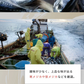 風土日和 宗田節 だしパウダー 土佐清水 高知県産 180g 賞味期限：2024年9月11日 カウシェ限定 ｜ オーガライフ